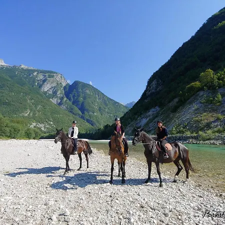 Apartma Kaan Zaga