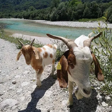 Apartma Kaan Appartement